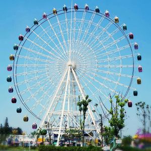 Ferris Wheel Ride MTL-65