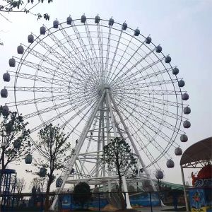 Ferris Wheel MTL-65