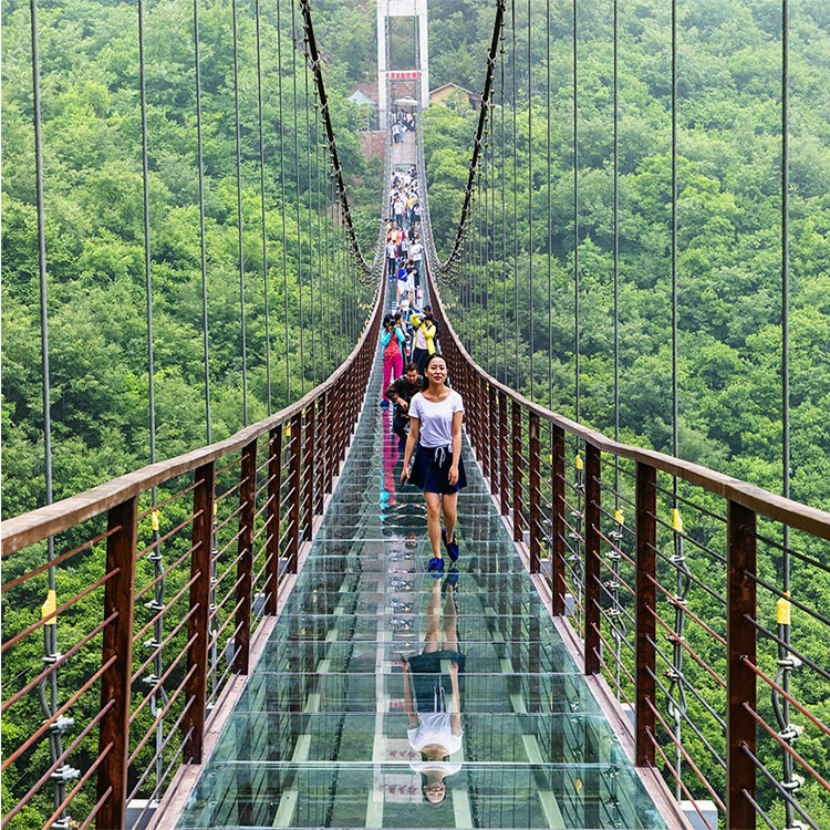 Glass Suspension Bridge